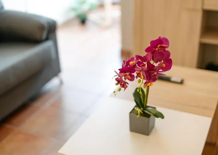 Lido Escape Funchal (Madeira)