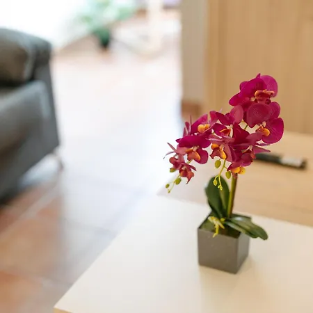 Lido Escape פונשל